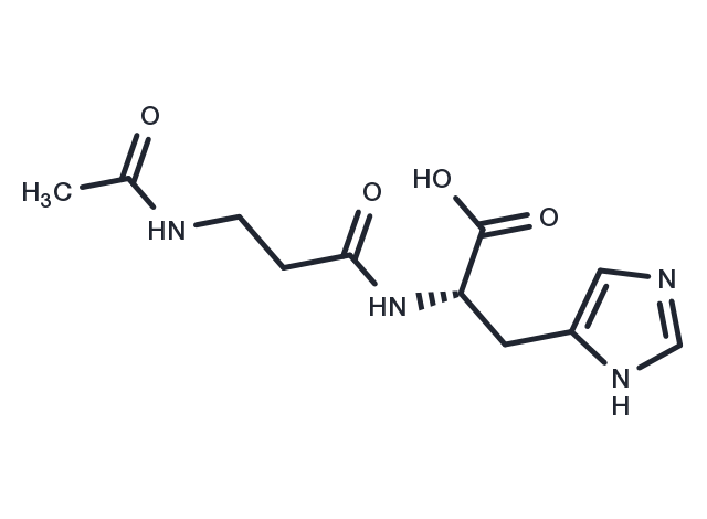 TargetMol Chemical Structure N-Acetylcarnosine