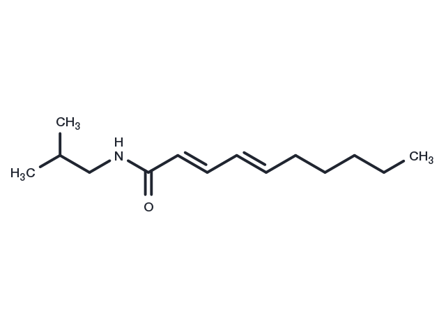 TargetMol Chemical Structure Pellitorine