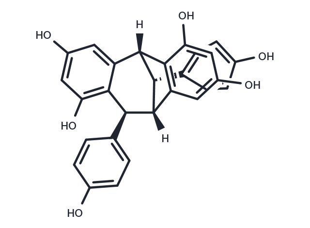 Ampelopsin F Chemical Structure