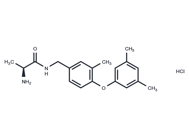 TargetMol Chemical Structure SGC2085 HCl