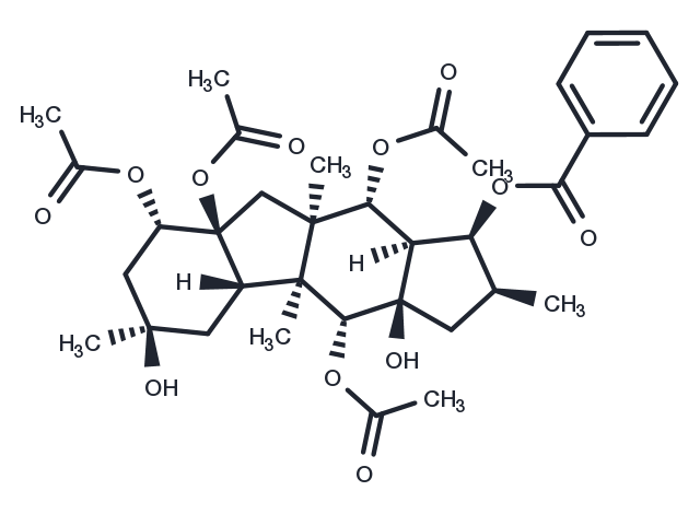 TargetMol Chemical Structure 5-hydroxythalidomide