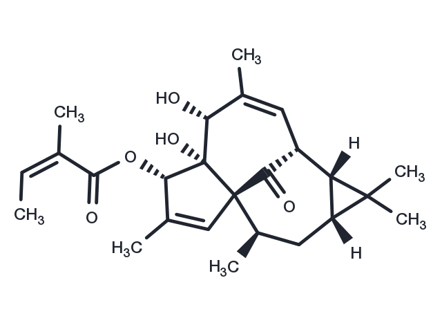 TargetMol Chemical Structure 20-Deoxyingenol 3-angelate