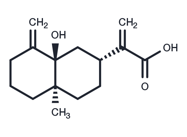 TargetMol Chemical Structure 5beta-Hydroxycostic acid