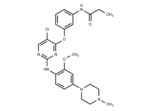 TargetMol Chemical Structure WZ4003