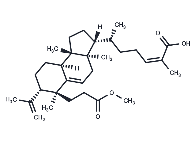 TargetMol Chemical Structure Kadsuric acid 3-methylester