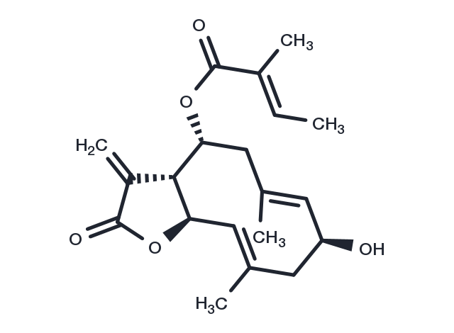 Mollisorin A Chemical Structure