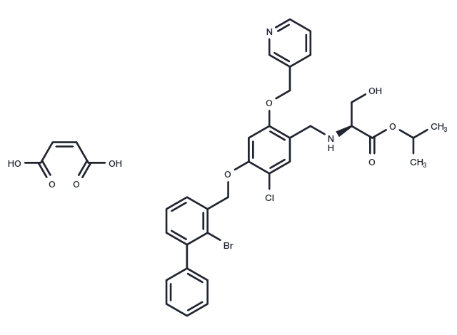 TargetMol Chemical Structure IMMH 010 maleate