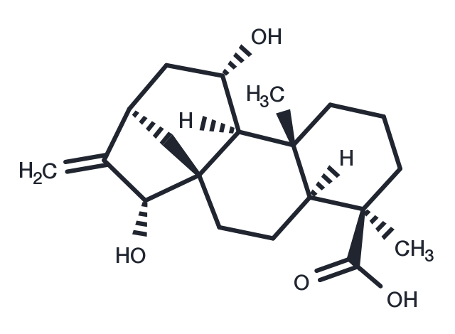 TargetMol Chemical Structure 11,15-Dihydroxy-16-kauren-19-oic acid