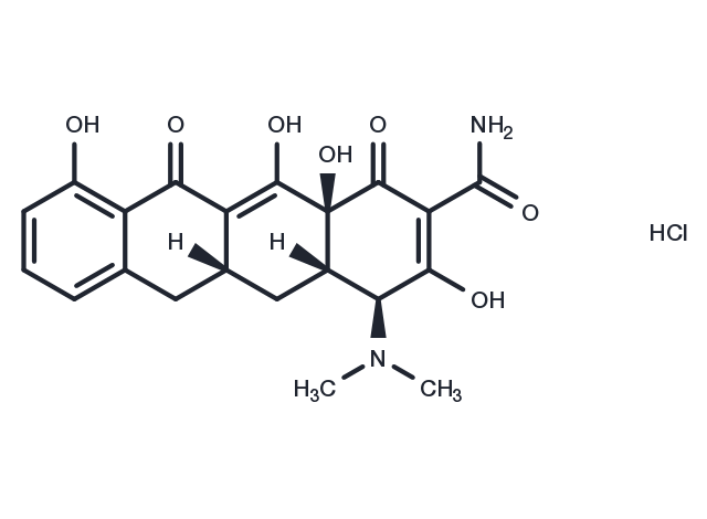 Sancycline HCl Chemical Structure