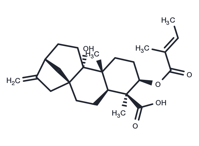 3Alaph-Tigloyloxypterokaurene L3 Chemical Structure