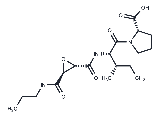 TargetMol Chemical Structure CA 074