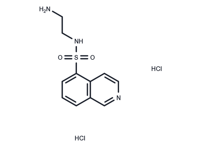 TargetMol Chemical Structure H-9 dihydrochloride
