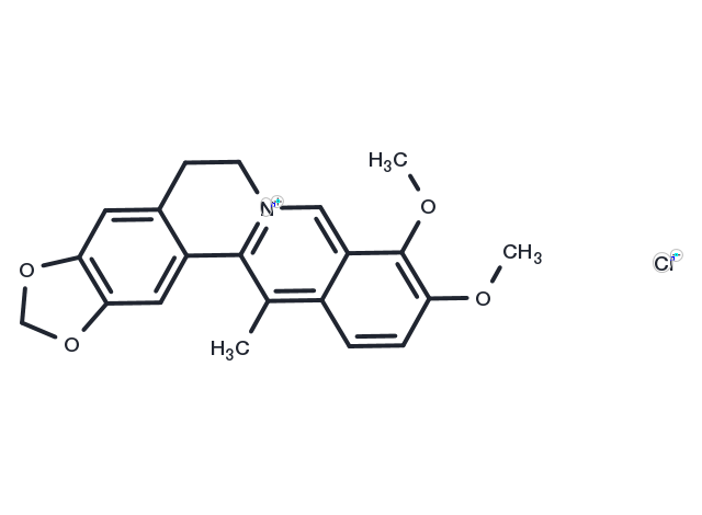 13-Methylberberine chloride Chemical Structure