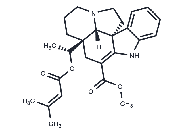 TargetMol Chemical Structure Echitovenidine