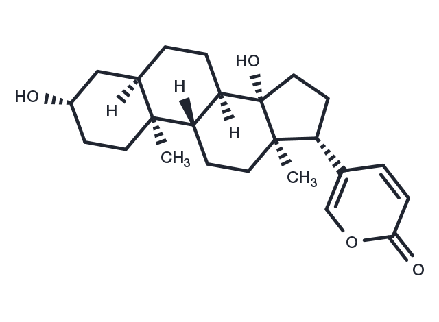 TargetMol Chemical Structure Bufalin