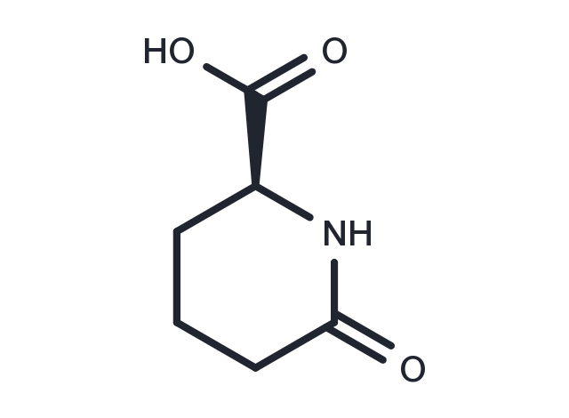 L-Pyrohomoglutamic Acid Chemical Structure