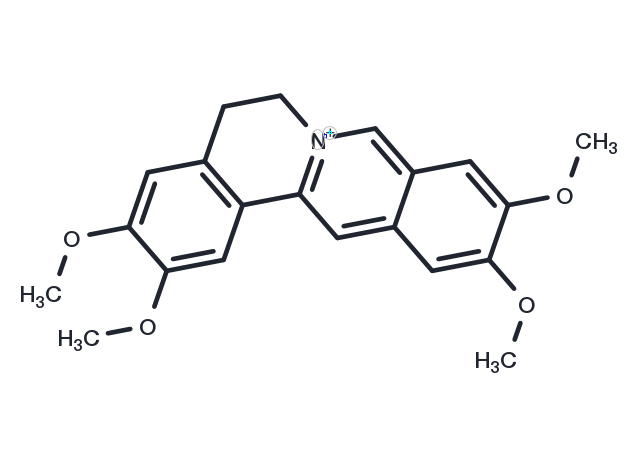 TargetMol Chemical Structure Pseudopalmatine