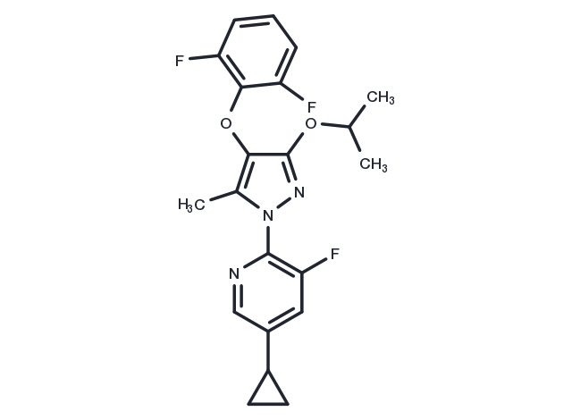 TargetMol Chemical Structure DHODH-IN-1