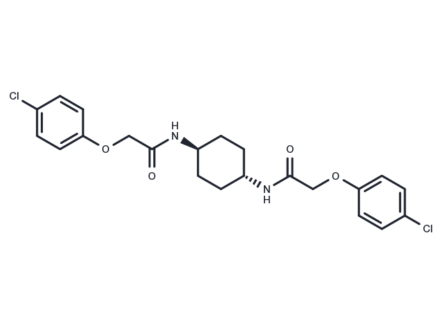 TargetMol Chemical Structure ISRIB (trans-isomer)