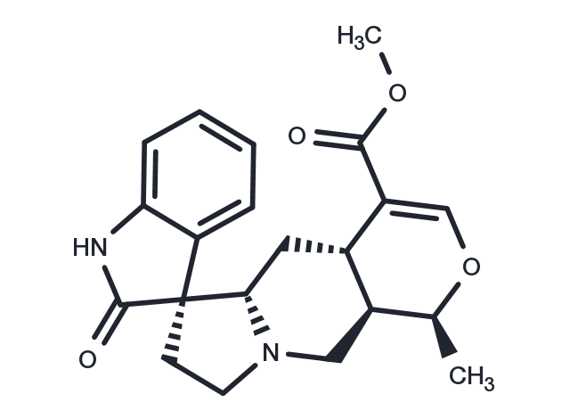 TargetMol Chemical Structure Isomitraphylline