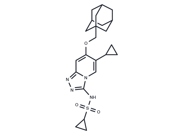 TargetMol Chemical Structure GNE-131