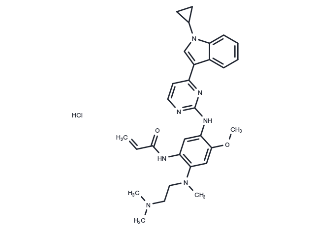 TargetMol Chemical Structure Almonertinib hydrochloride