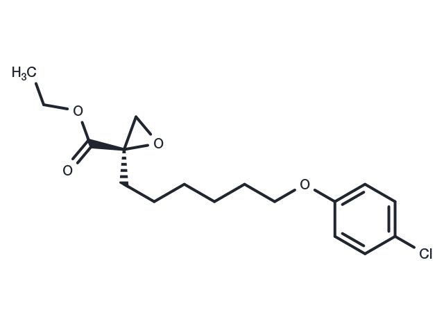 TargetMol Chemical Structure Etomoxir