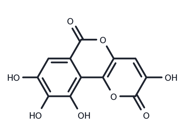 TargetMol Chemical Structure Galloflavin