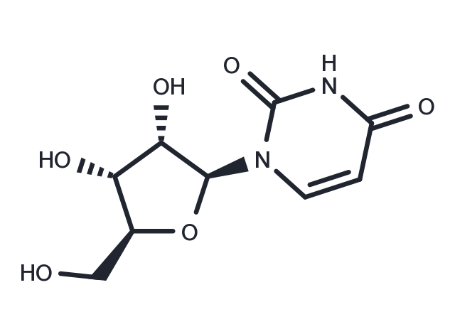 TargetMol Chemical Structure L-Uridine
