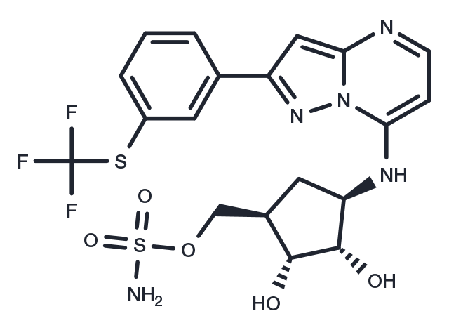 TargetMol Chemical Structure TAK-243