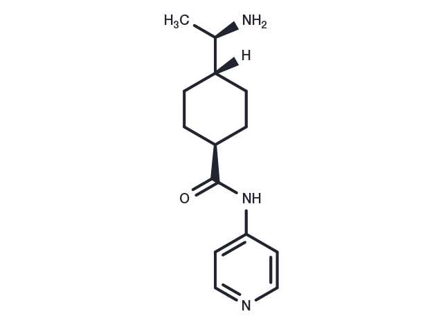 TargetMol Chemical Structure Y-27632
