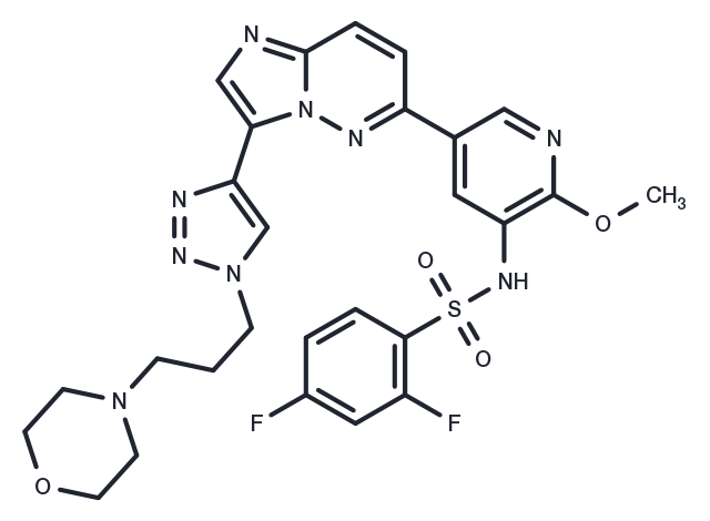 TargetMol Chemical Structure PI3K/mTOR Inhibitor-12