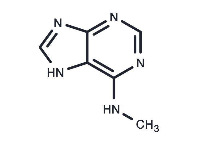 TargetMol Chemical Structure N6-Methyladenine