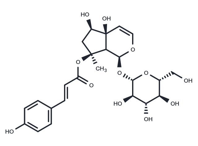 8-O-4-Hydroxycinnamoylharpagide Chemical Structure