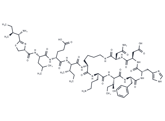TargetMol Chemical Structure Bacitracin