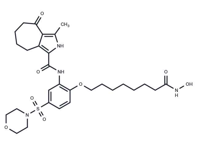 TargetMol Chemical Structure HDAC/BET-IN-1