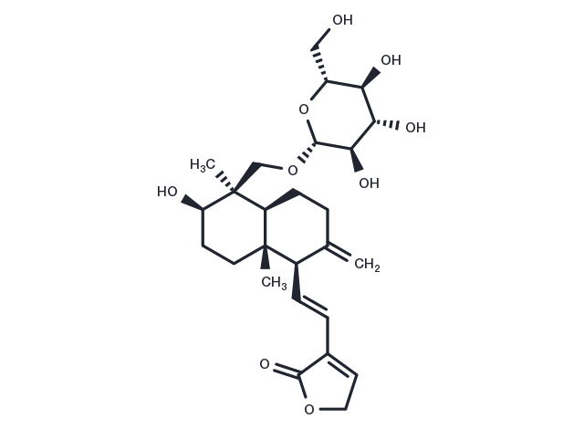 TargetMol Chemical Structure 14-Deoxy-11,12-didehydroandrographiside