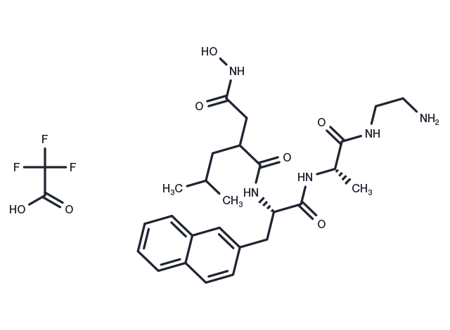 TargetMol Chemical Structure TAPI-1 trifluoroacetate (163847-77-6(free base))