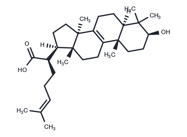 TargetMol Chemical Structure Trametenolic acid