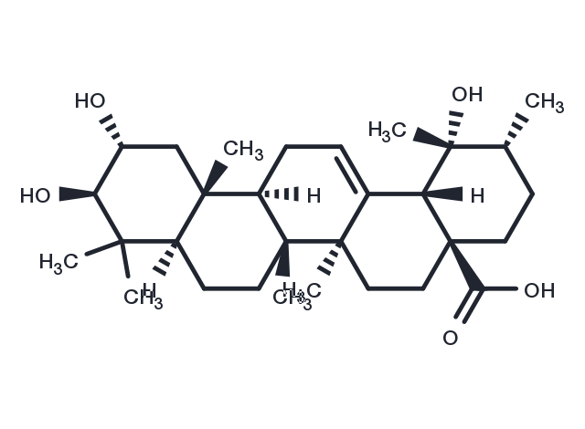 TargetMol Chemical Structure Tormentic acid