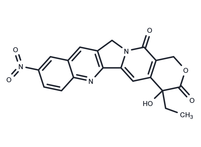TargetMol Chemical Structure 10-Nitro-camptothecin