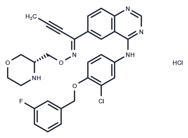 TargetMol Chemical Structure Epertinib hydrochloride
