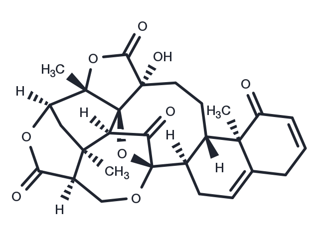 TargetMol Chemical Structure Physalin B