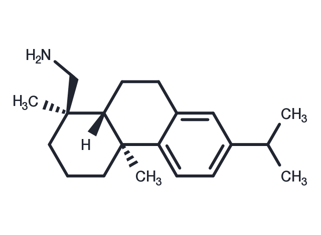 TargetMol Chemical Structure Dehydroabiethylamine