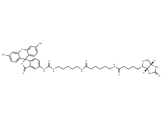 TargetMol Chemical Structure Fluorescein Biotin