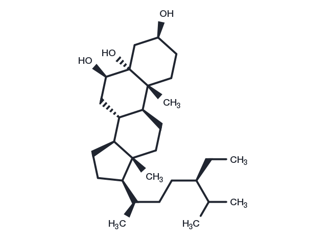 TargetMol Chemical Structure Stigmastane-3,5,6-triol