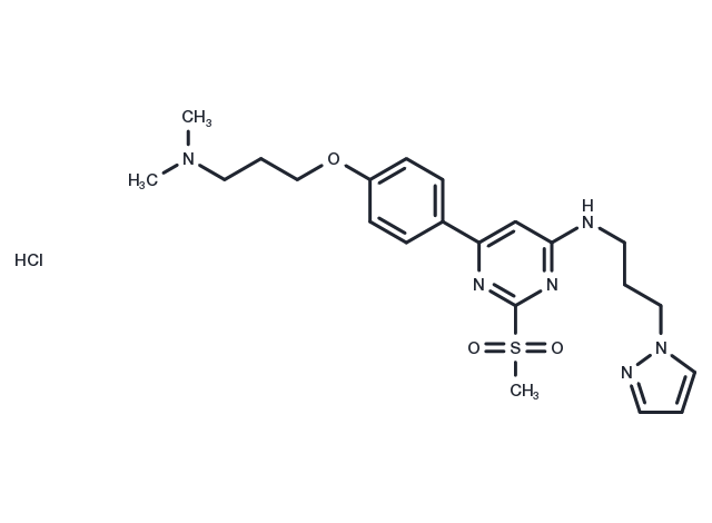 TP-238 hydrochloride Chemical Structure
