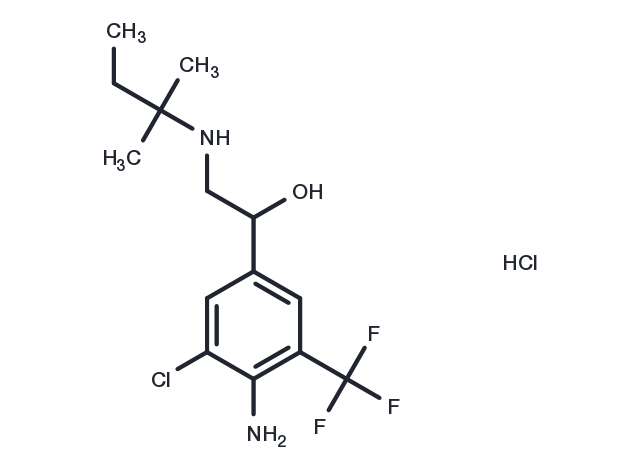 TargetMol Chemical Structure Mapenterol hydrochloride