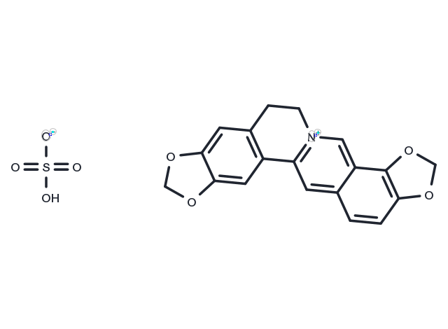 TargetMol Chemical Structure Coptisine sulfate