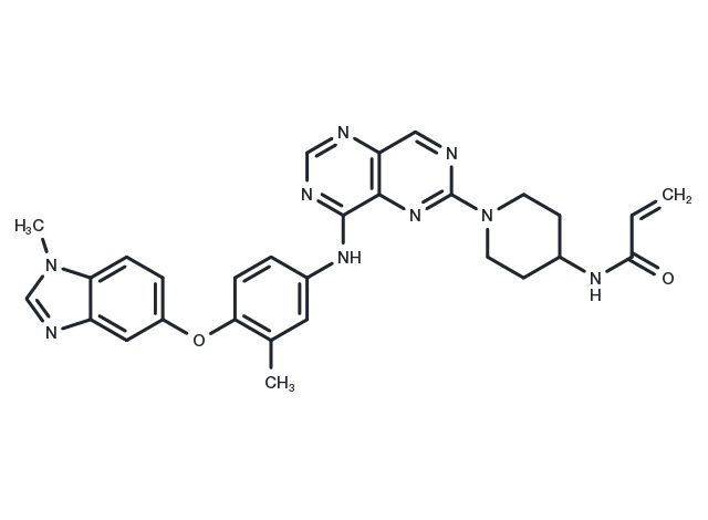 TargetMol Chemical Structure Zongertinib
